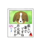 葉書「暑中お見舞い申し上げます」（個別スタンプ：14）