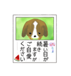 葉書「暑中お見舞い申し上げます」（個別スタンプ：15）