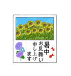 葉書「暑中お見舞い申し上げます」（個別スタンプ：17）