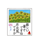 葉書「暑中お見舞い申し上げます」（個別スタンプ：18）