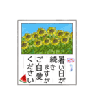 葉書「暑中お見舞い申し上げます」（個別スタンプ：19）