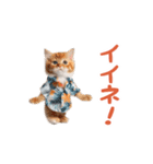 踊る！ダンス猫（個別スタンプ：5）