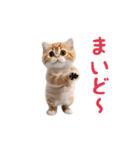 踊る！ダンス猫（個別スタンプ：12）