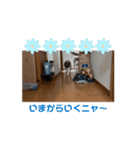 動くらん丸スタンプ（個別スタンプ：7）