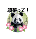 夏を感じるパンダのLINEスタンプ（個別スタンプ：16）