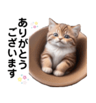 猫好きのずっと使える敬語スタンプ（個別スタンプ：1）