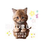 猫好きのずっと使える敬語スタンプ（個別スタンプ：3）