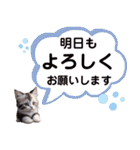 猫好きのずっと使える敬語スタンプ（個別スタンプ：22）