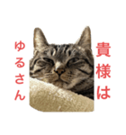 ネオ・ザ・タロウ（個別スタンプ：1）