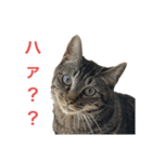 ネオ・ザ・タロウ（個別スタンプ：8）