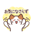 敬語ねこさん♪感謝と気づかい（個別スタンプ：20）