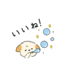 うちの犬 ウィルくん（個別スタンプ：2）