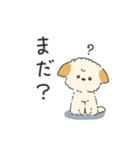 うちの犬 ウィルくん（個別スタンプ：11）