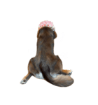 Cherie！！！！！（個別スタンプ：13）