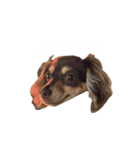 Cherie！！！！！（個別スタンプ：14）