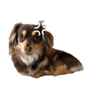 Cherie！！！！！（個別スタンプ：15）