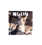 いろんな猫(日常編)（個別スタンプ：6）