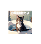 いろんな猫(日常編)（個別スタンプ：9）