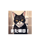 いろんな猫(日常編)（個別スタンプ：33）