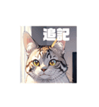 いろんな猫(日常編)（個別スタンプ：34）