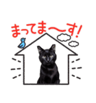 黒猫の日常(毎日使える)（個別スタンプ：2）