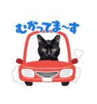 黒猫の日常(毎日使える)（個別スタンプ：4）