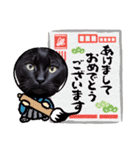 黒猫の日常(毎日使える)（個別スタンプ：20）