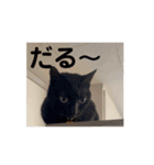 アホ猫ぽぽ（個別スタンプ：3）