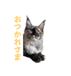 yoruka=zaoldyeck（個別スタンプ：2）