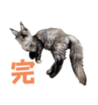 yoruka=zaoldyeck（個別スタンプ：8）