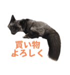 yoruka=zaoldyeck（個別スタンプ：14）