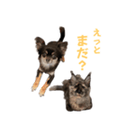 yoruka=zaoldyeck（個別スタンプ：18）