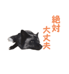 yoruka=zaoldyeck（個別スタンプ：30）