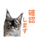 yoruka=zaoldyeck（個別スタンプ：32）
