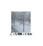 雪国からの動画（個別スタンプ：8）