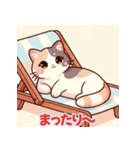 猫の夏スタンプ（個別スタンプ：28）