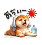 柴犬の夏スタンプ（個別スタンプ：7）