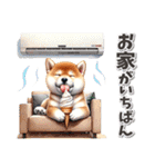 柴犬の夏スタンプ（個別スタンプ：22）