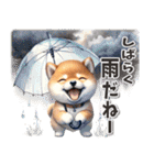 柴犬の夏スタンプ（個別スタンプ：37）