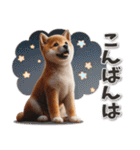 柴犬の「今何してる？」スタンプ（個別スタンプ：8）