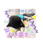 オクロ君のスタンプ★（個別スタンプ：7）