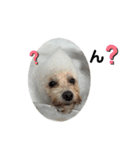 やまだ家のちびたち（個別スタンプ：13）