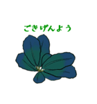 ブセファランドラ（個別スタンプ：8）