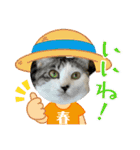 ミケ子と仲間たち（個別スタンプ：11）