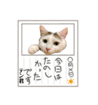 ミケ子と仲間たち（個別スタンプ：14）