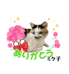 ミケ子と仲間たち（個別スタンプ：18）