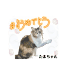 ミケ子と仲間たち（個別スタンプ：26）