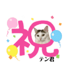 ミケ子と仲間たち（個別スタンプ：28）