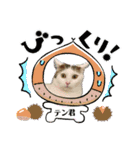 ミケ子と仲間たち（個別スタンプ：31）