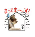 ミケ子と仲間たち（個別スタンプ：33）